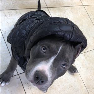 Meet your Posher, Victor